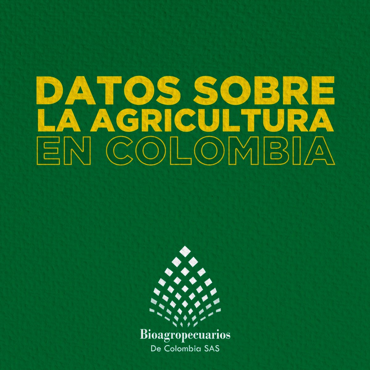 10 Datos Sobre La Agricultura En Colombia Bioagropecuarios De Colombia